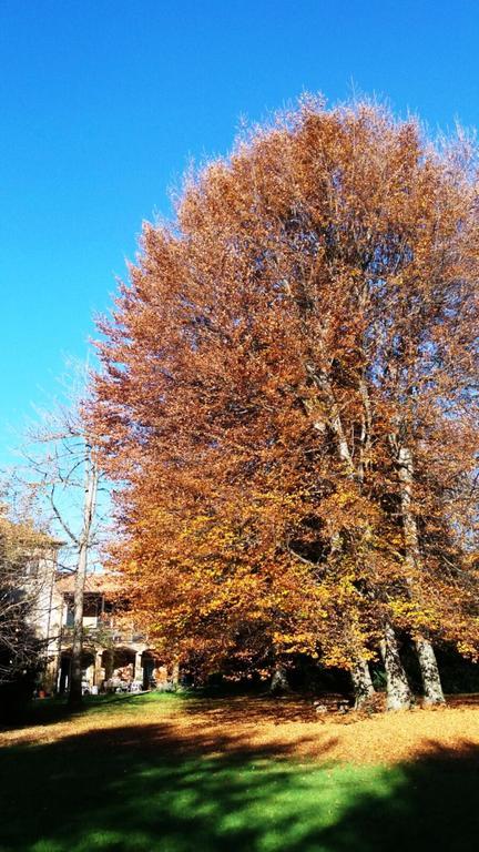 Il Faggio Rosso Apartment *
