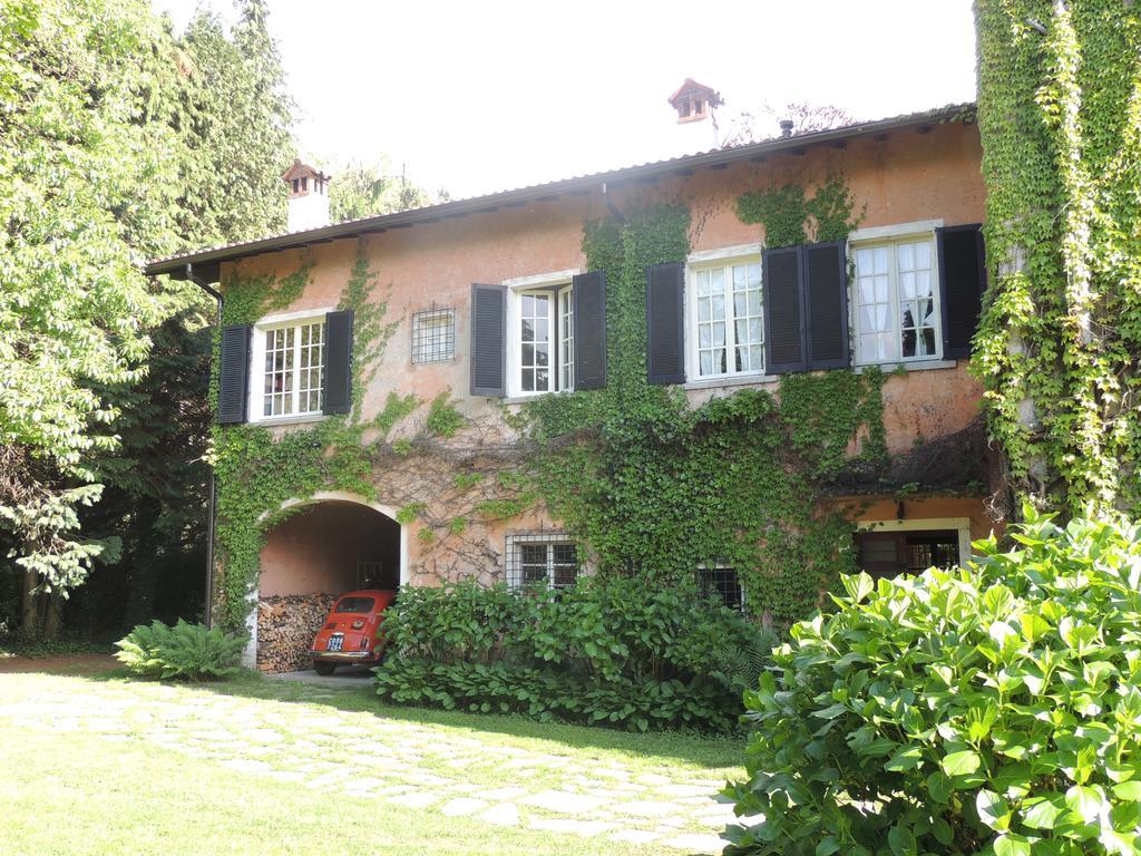 Il Faggio Rosso Albiolo